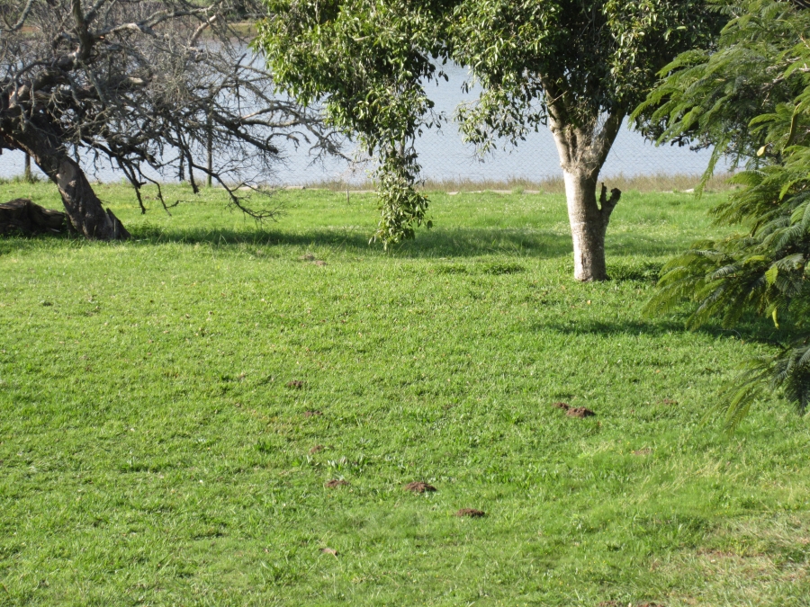 0 Bedroom Property for Sale in Riverview Water Front Estate Eastern Cape